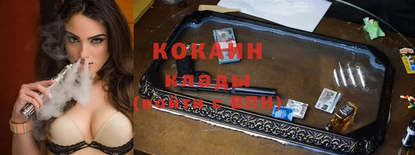 тгк Лагань