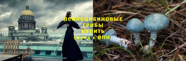 ГАЛЛЮЦИНОГЕННЫЕ ГРИБЫ Александровское