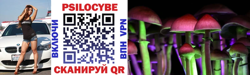 Галлюциногенные грибы Psilocybine cubensis  как найти   кракен ТОР  Нефтегорск 